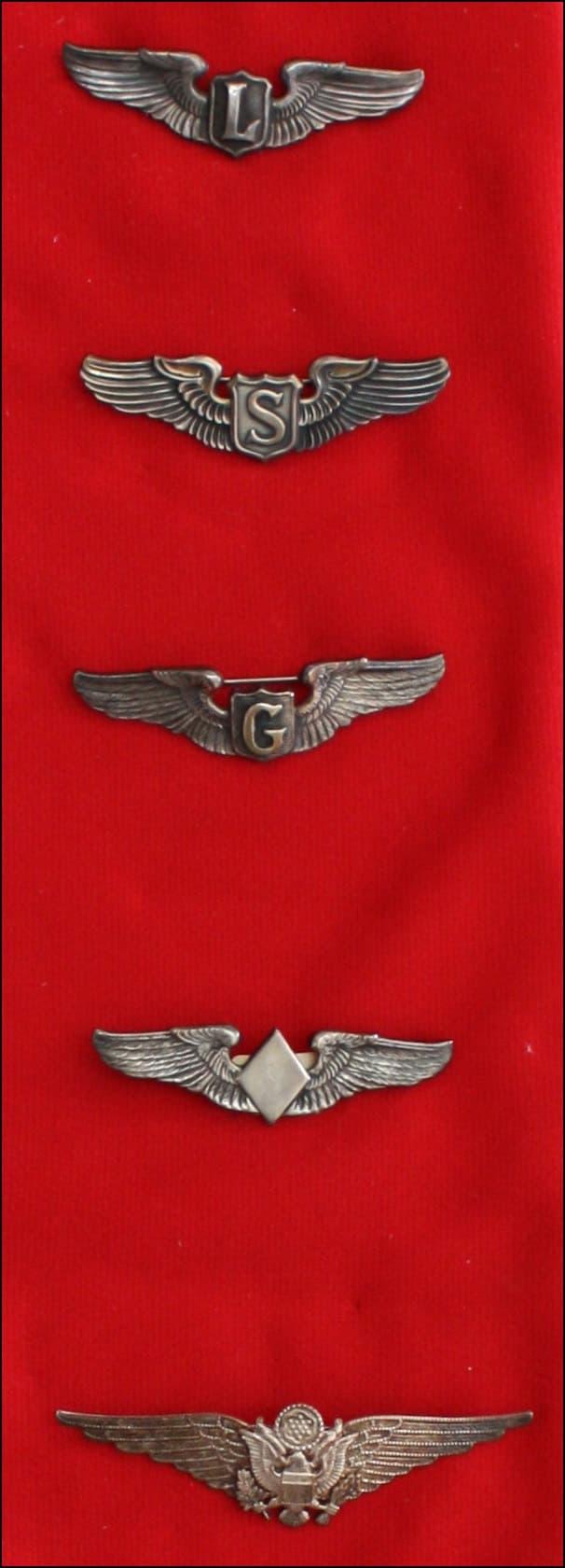 Pilot wings badge #1