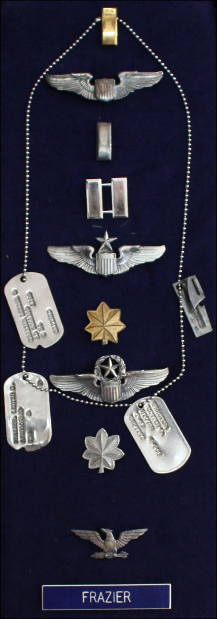 Pilot wings badge #2