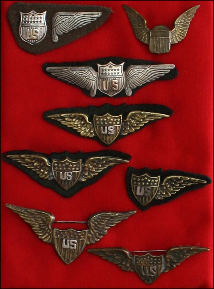 Pilot wings badge #3