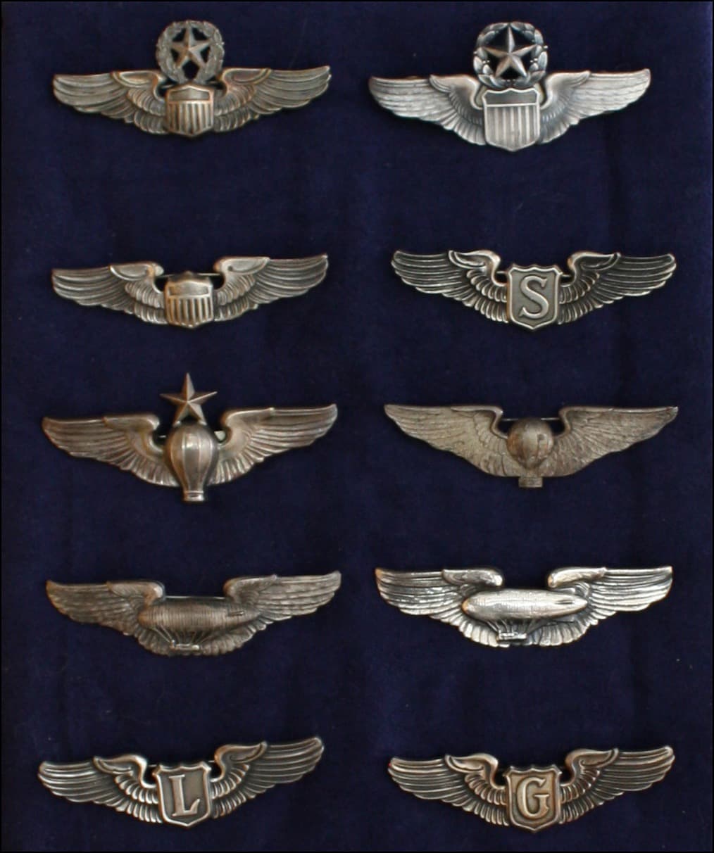 Pilot wings badge #6
