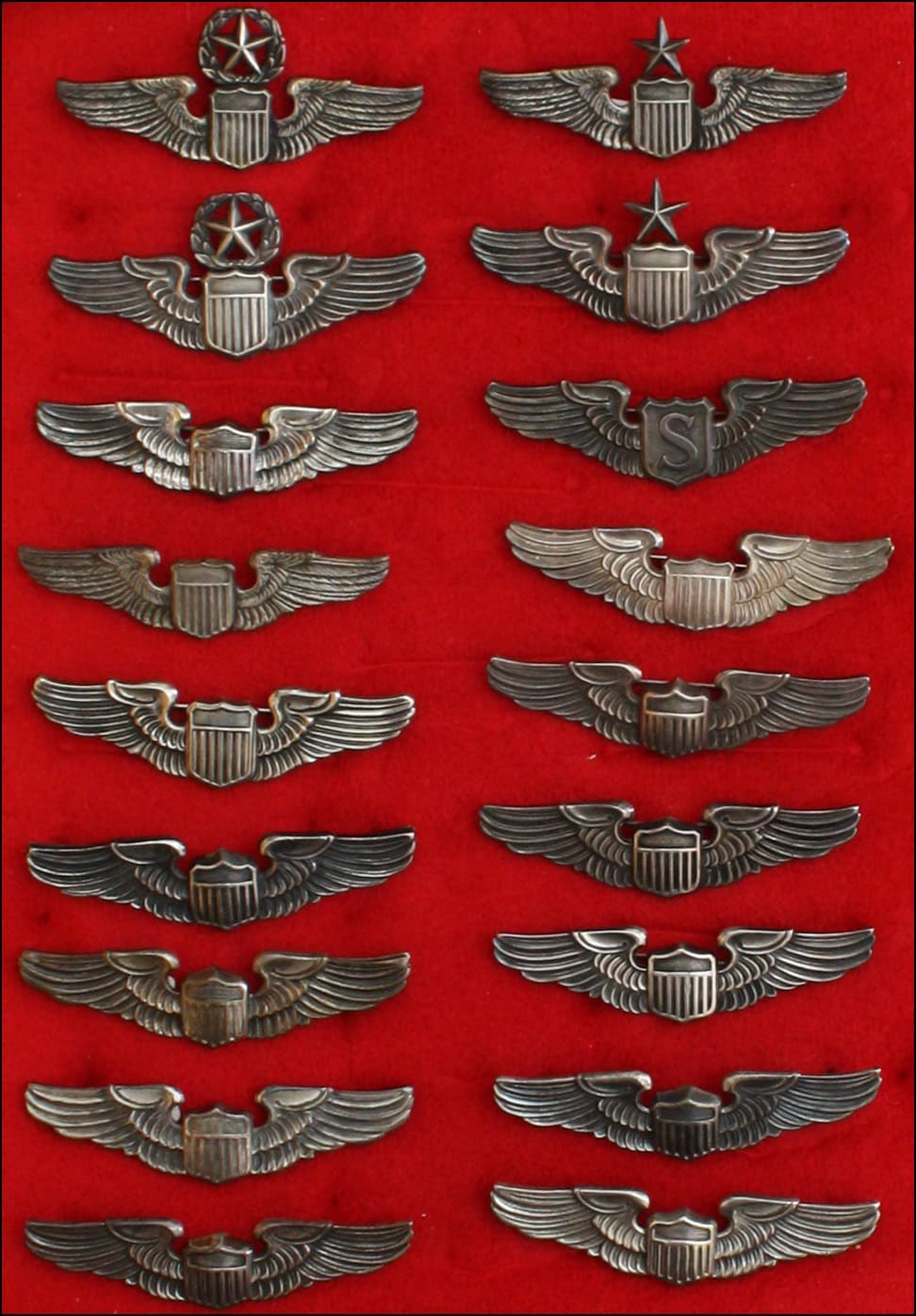 Pilot wings badge #7