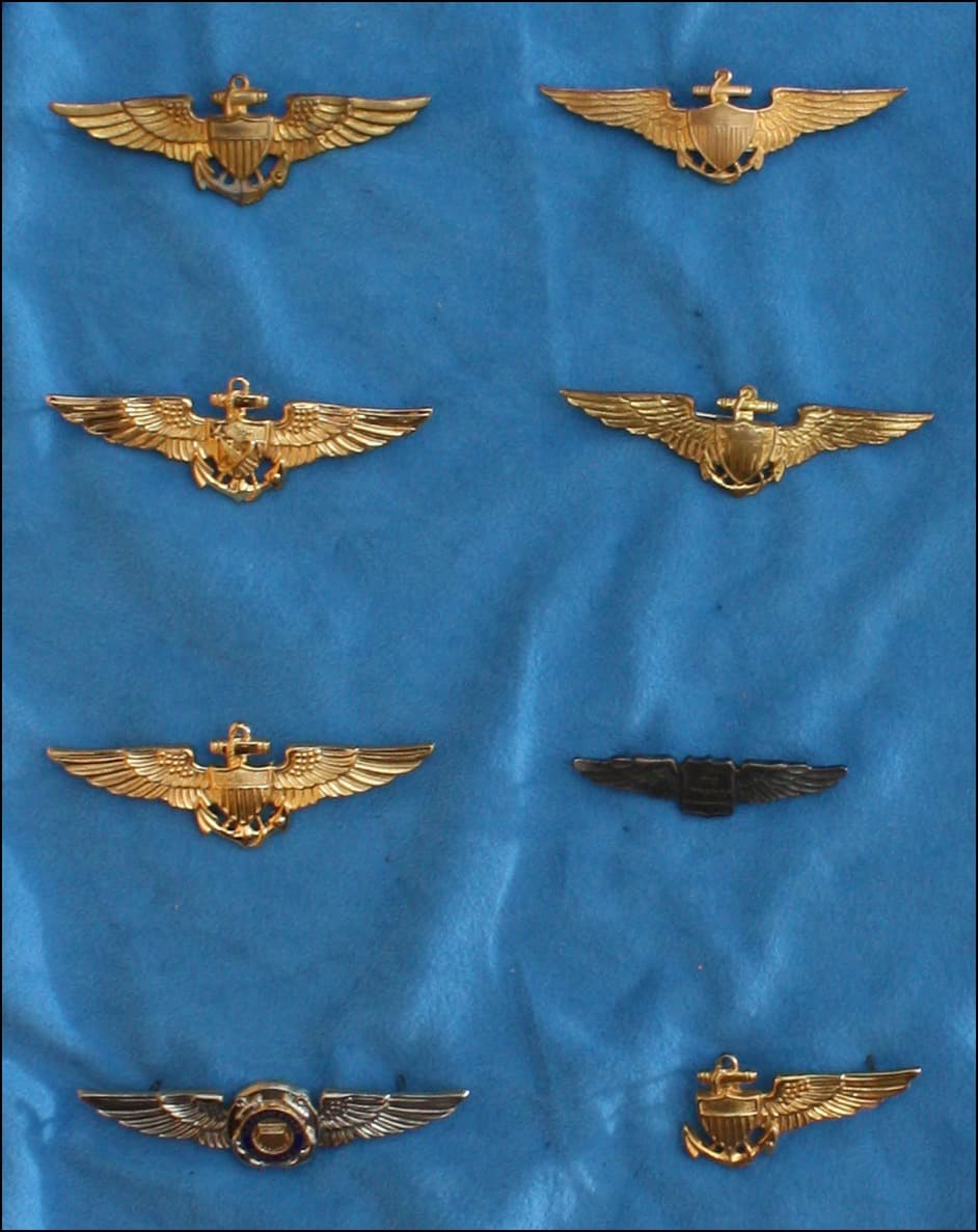 Pilot wings badge #8