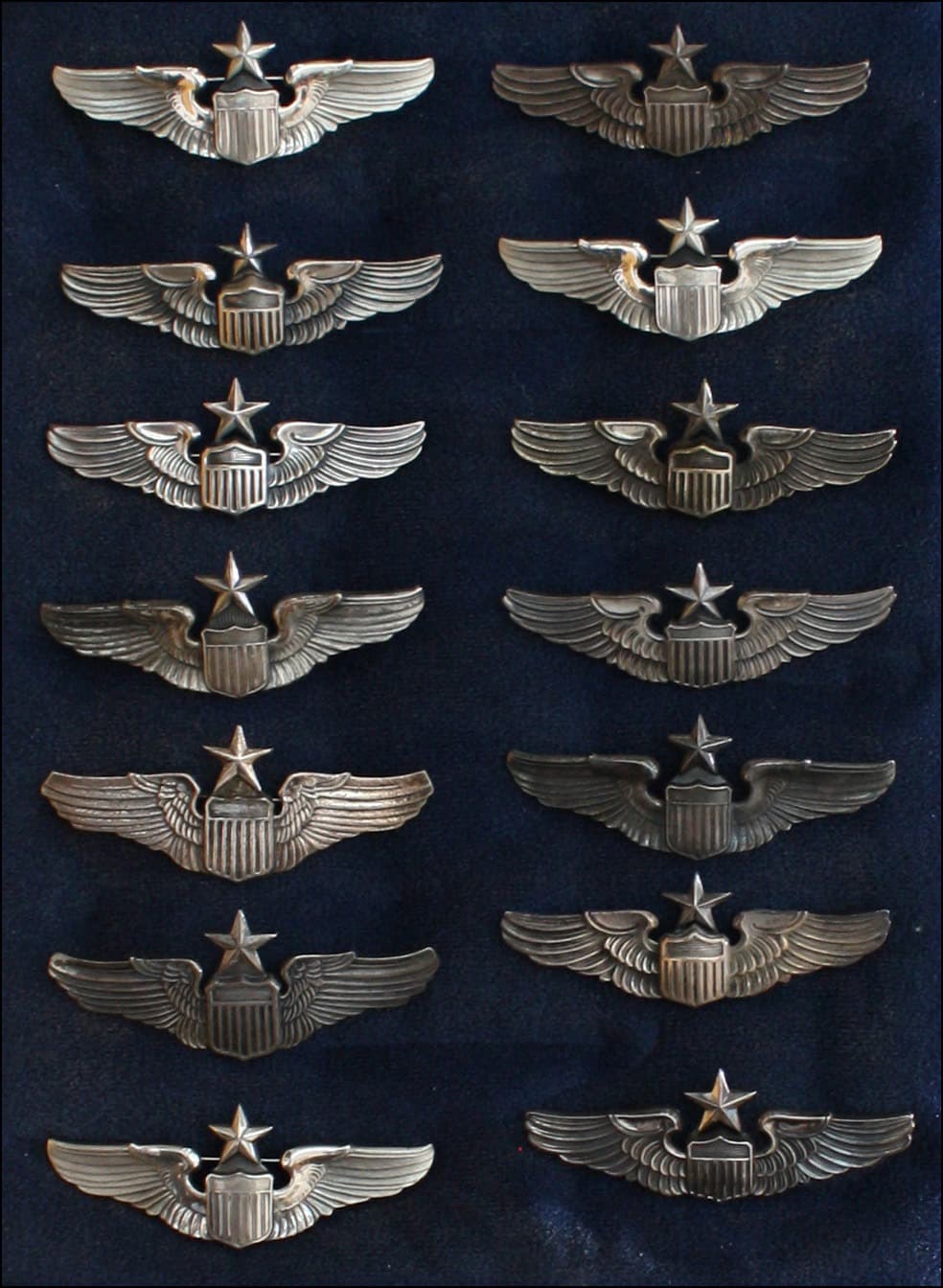 Pilot wings badge #9