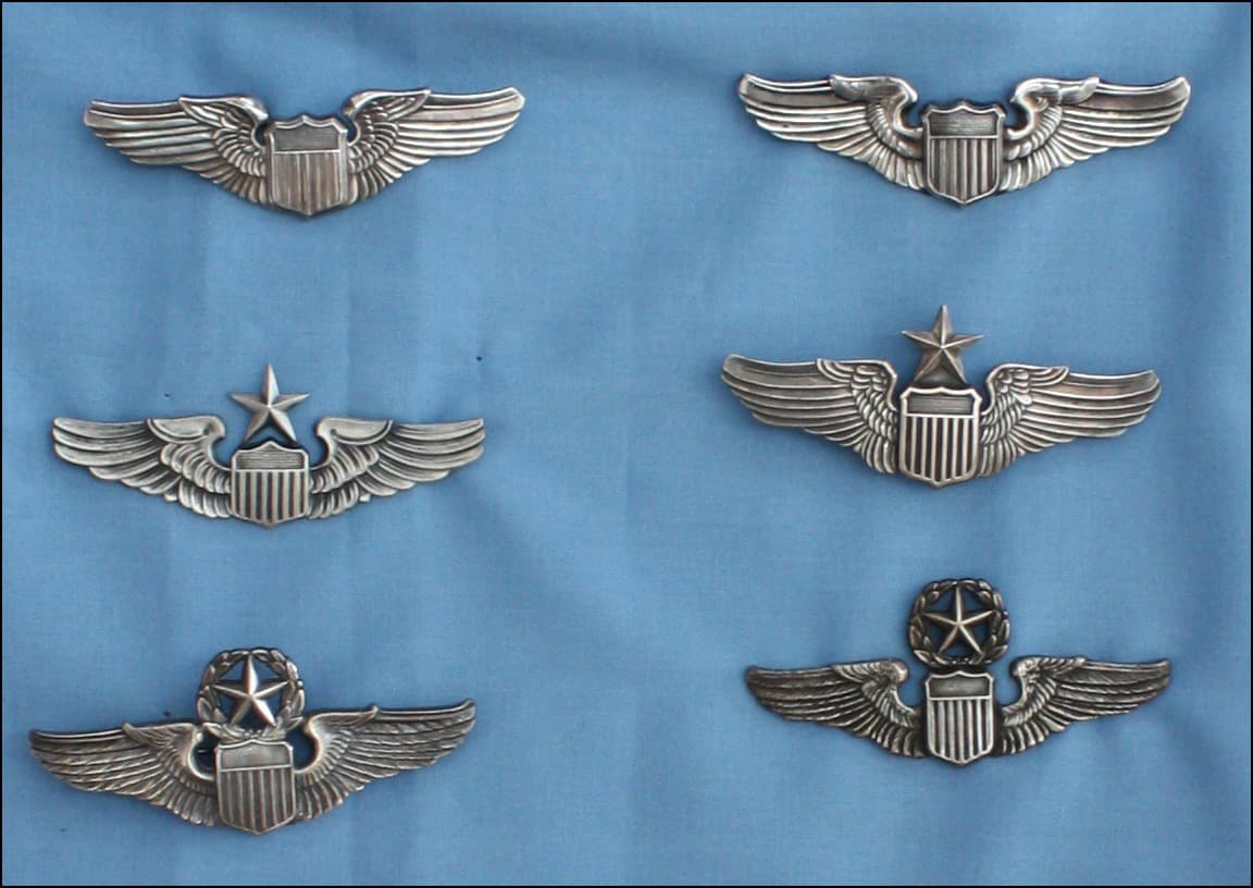 Pilot wings badge #10