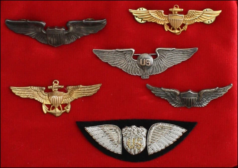 Pilot wings badge #11