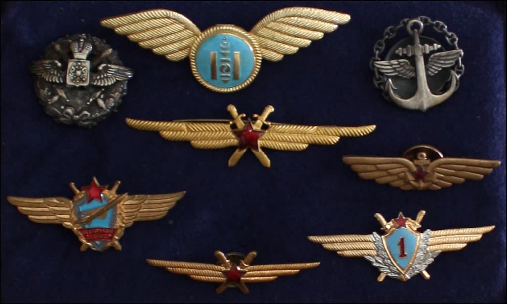 Pilot wings badge #12