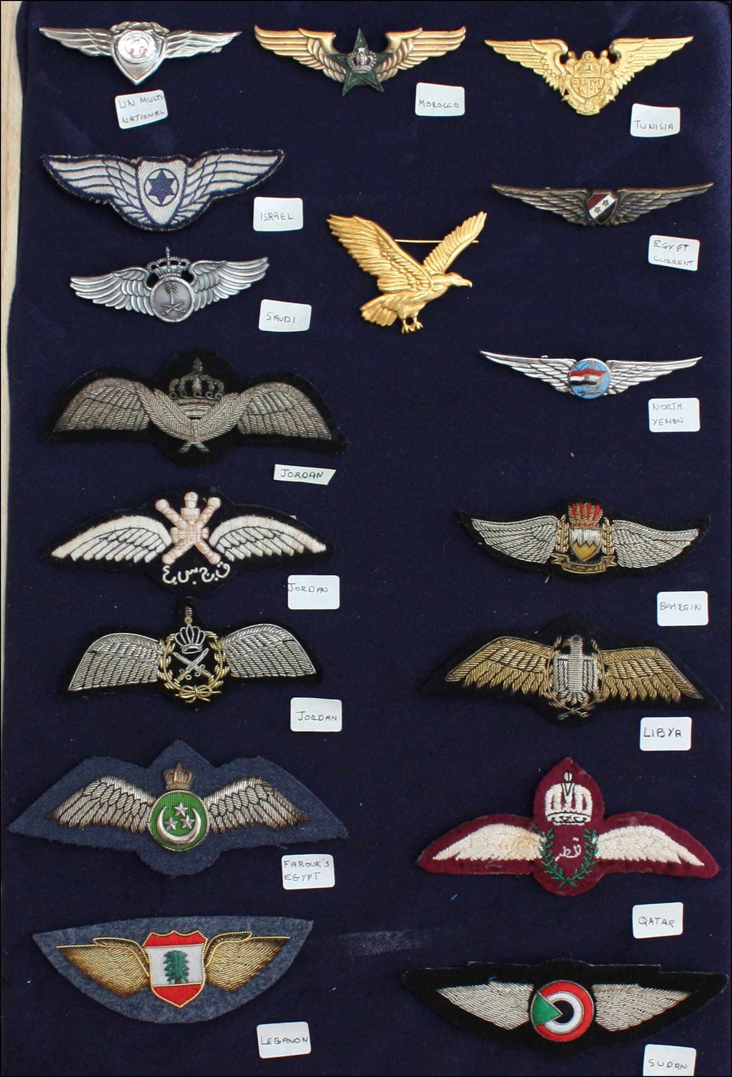 Pilot wings badge #13