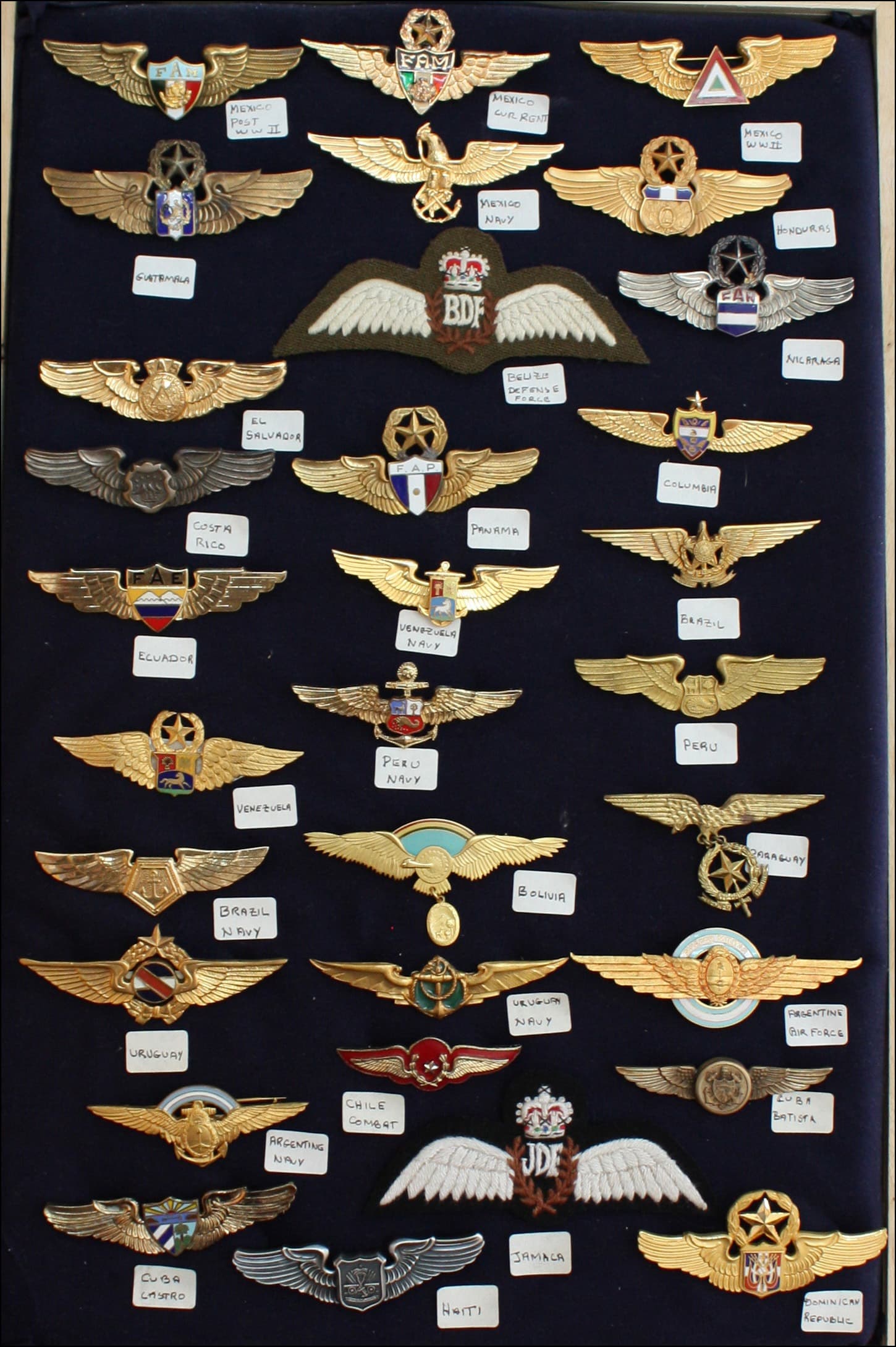 Pilot wings badge #17
