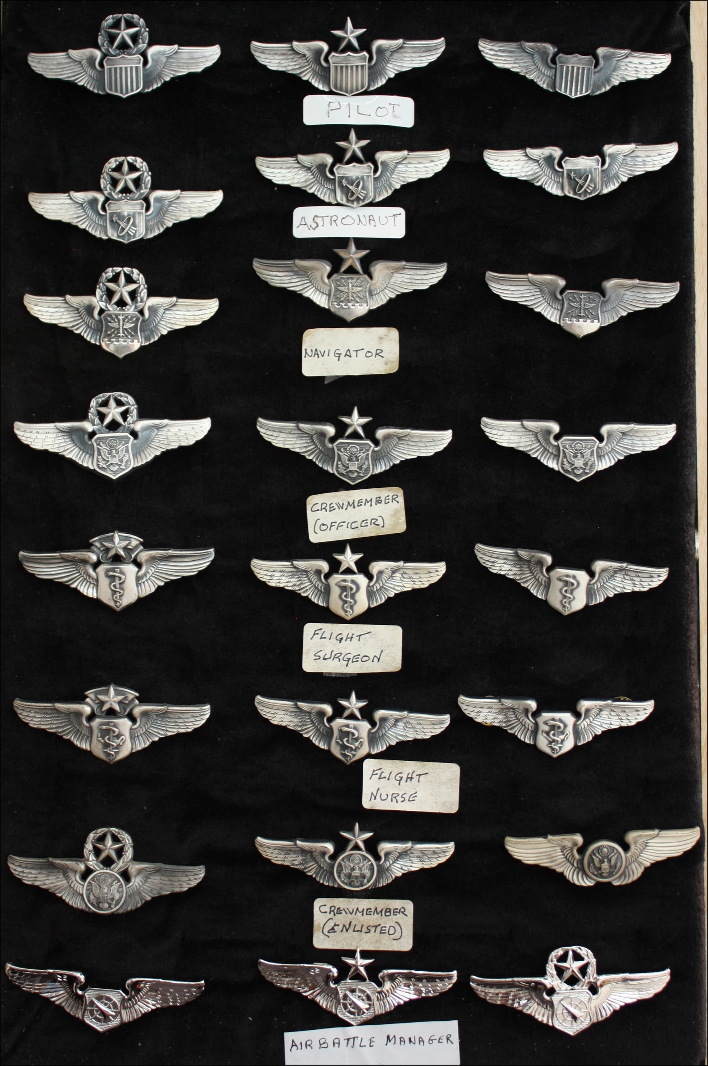Pilot wings badge #22