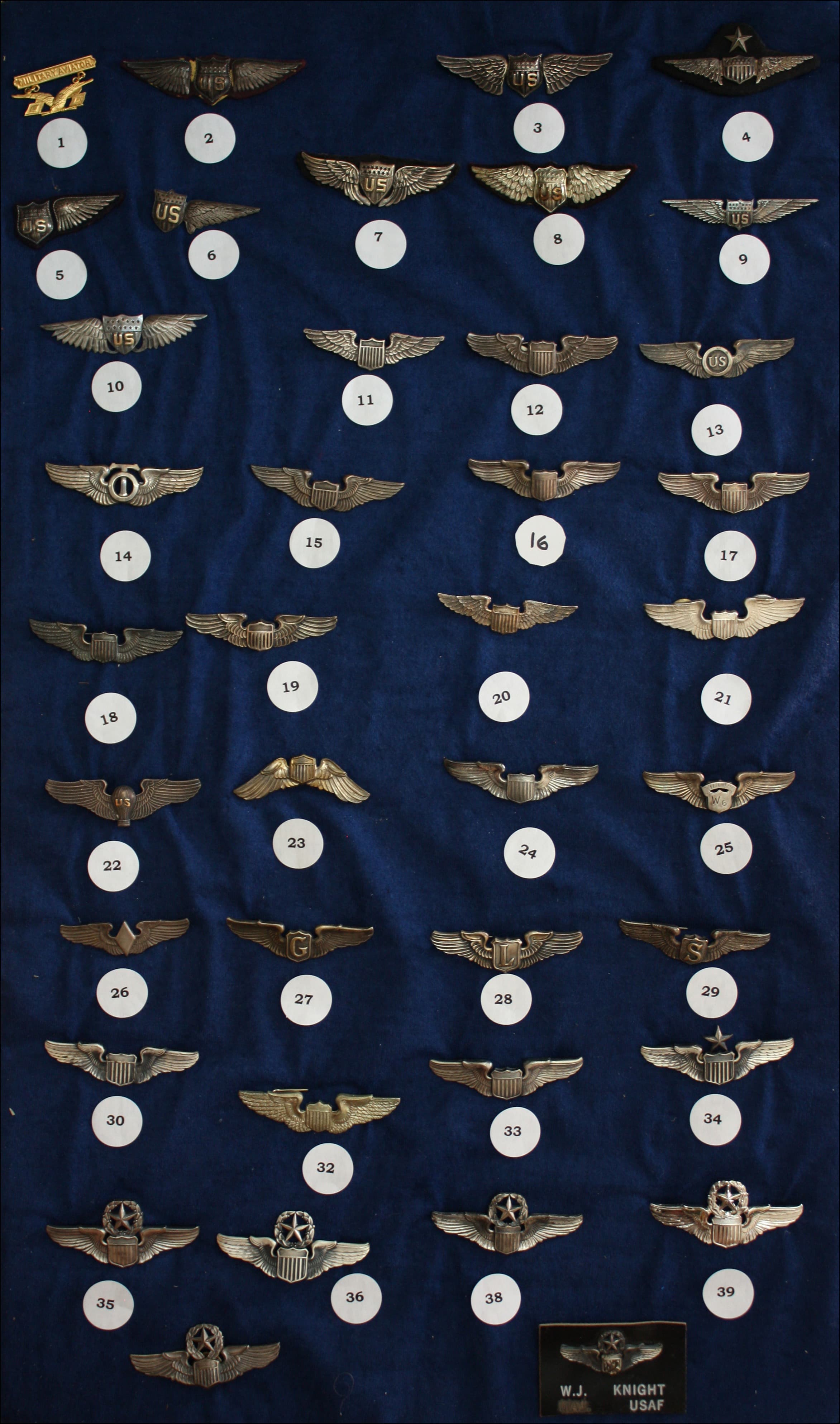 Pilot wings badge #23