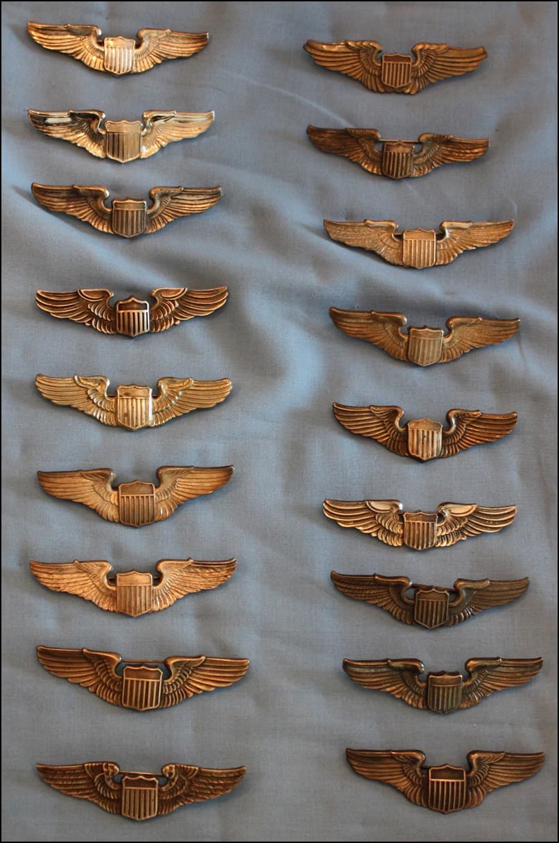 Pilot wings badge #26